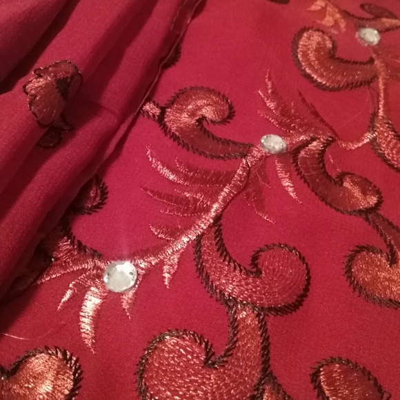 Red Chiffon Saree with Golden Border (India) - Picture 4 of 6